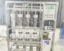 多柱快猫社区APP成人官网催化氧化实验装置