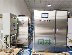 100g/h实验用快猫社区APP成人官网发生器安装现场